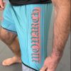Shorts - Teal/Peach Photo 2